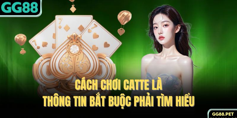 Cách chơi Catte là thông tin bắt buộc phải tìm hiểu 