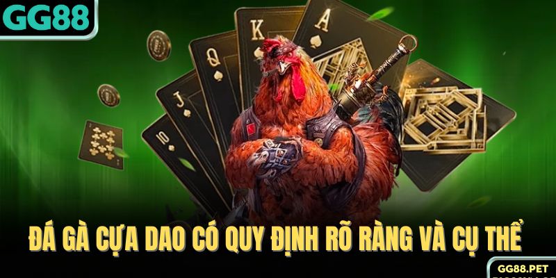 Đá gà cựa dao có quy định rõ ràng và cụ thể