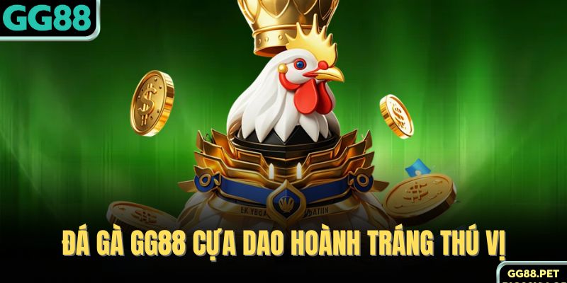 Đá gà GG88 cựa dao hoành tráng thú vị