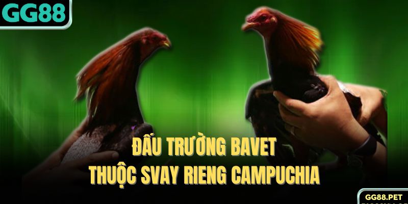 Đấu trường Bavet thuộc Svay Rieng Campuchia