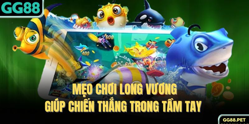 Mẹo chơi Long Vương giúp chiến thắng trong tầm tay 
