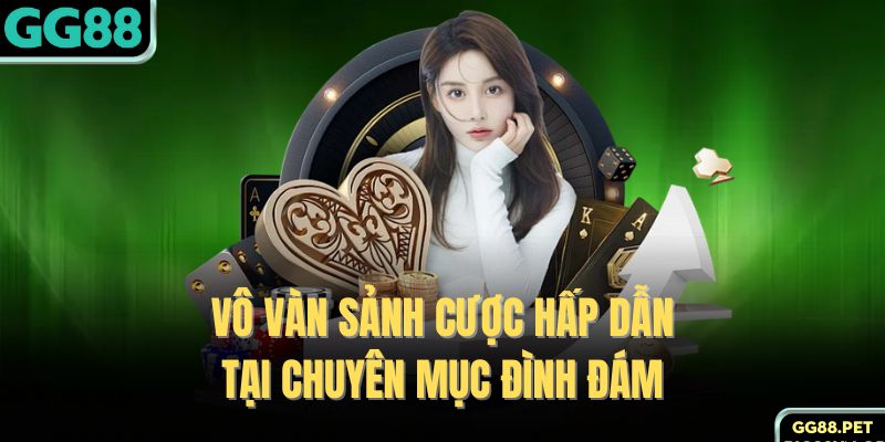Vô vàn sảnh cược hấp dẫn tại chuyên mục đình đám 